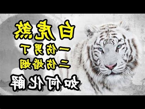 白虎 八字